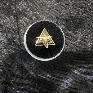 Air Force Gold Triangle Pin